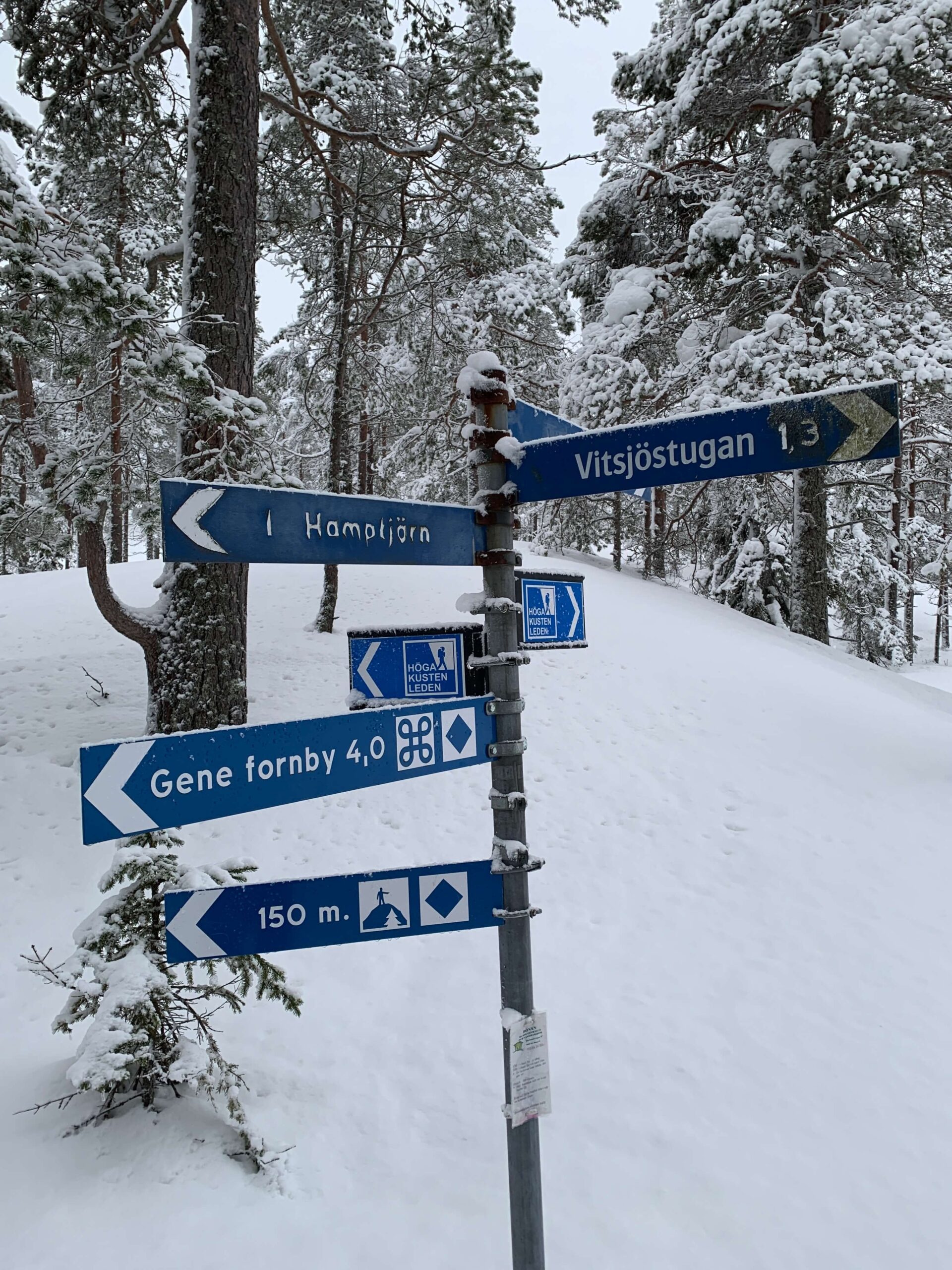 Zimowy spacer na Wysokim Wybrzeżu w Szwecji