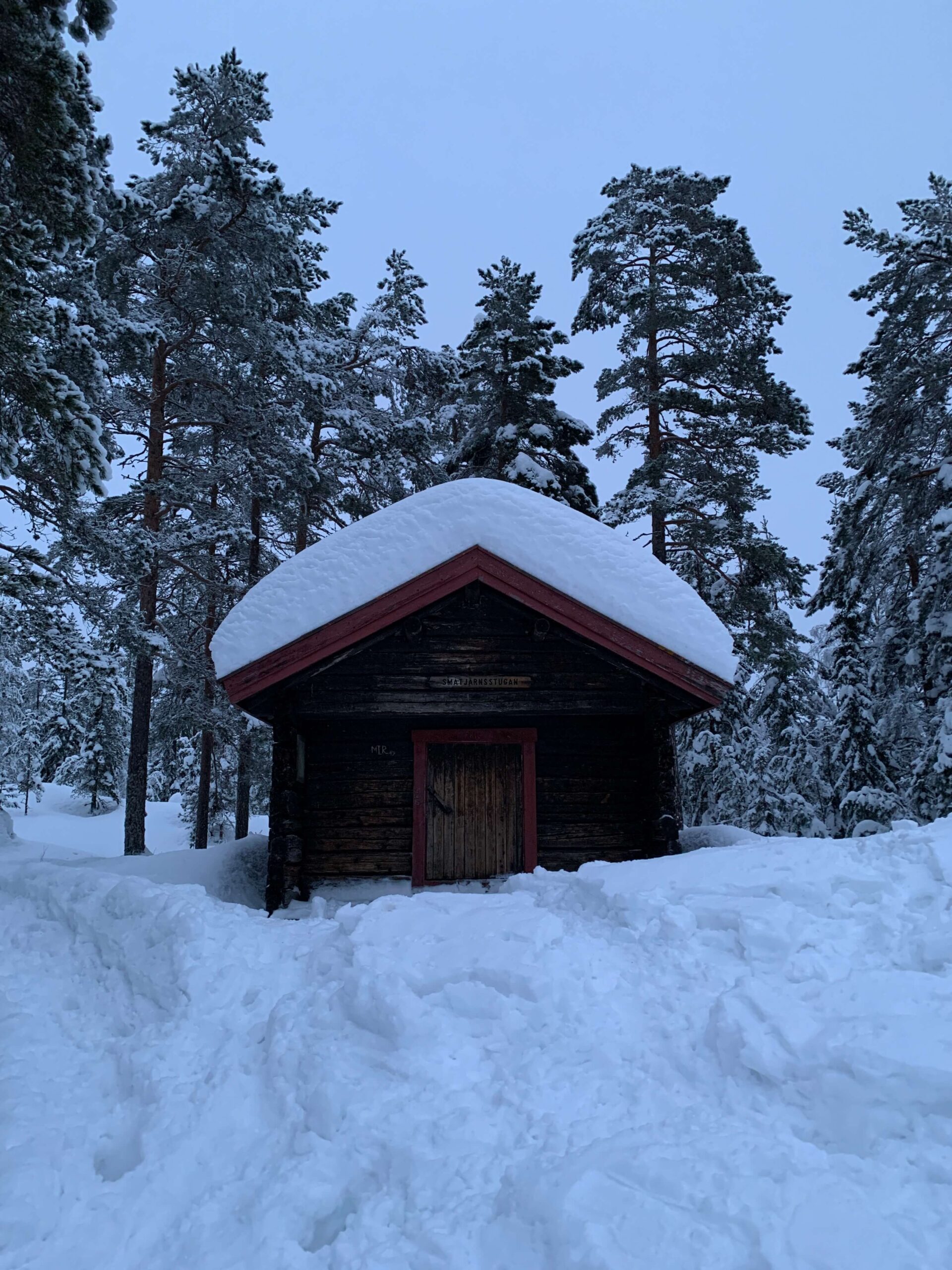 Zimowy spacer na Wysokim Wybrzeżu w Szwecji